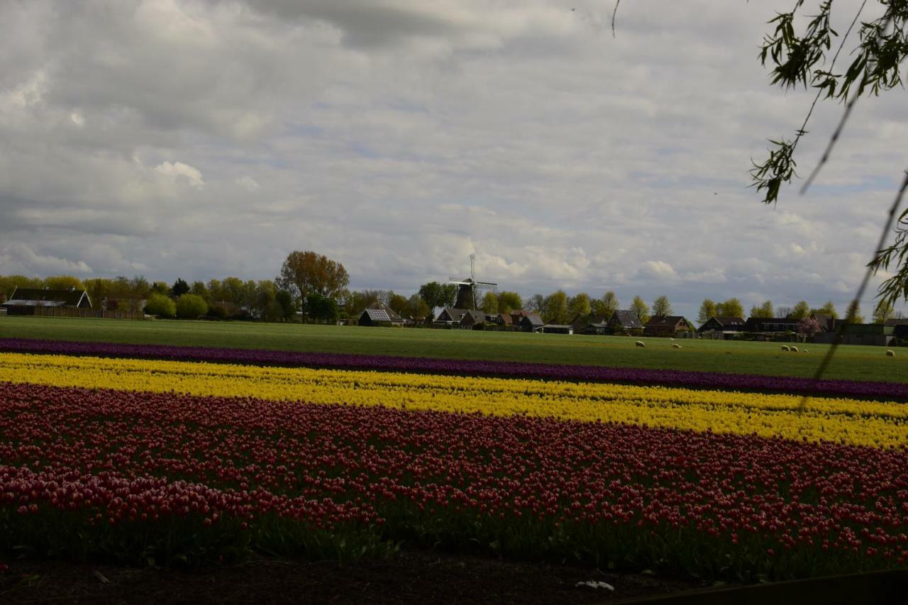 Vakantiehuis Het Uilennest Wijdenes Exterior foto